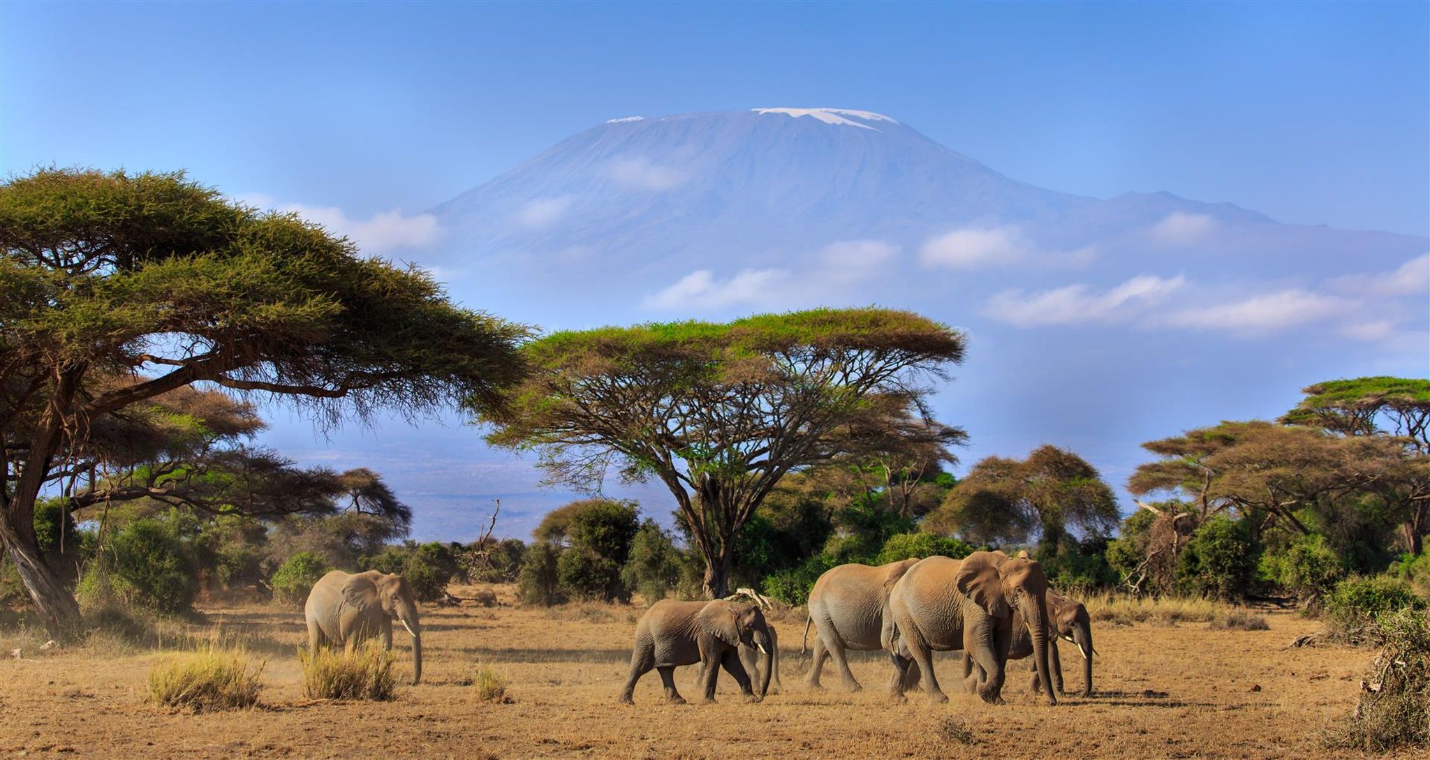 Discover the Beauty of Africa: Top Destinations to Visit